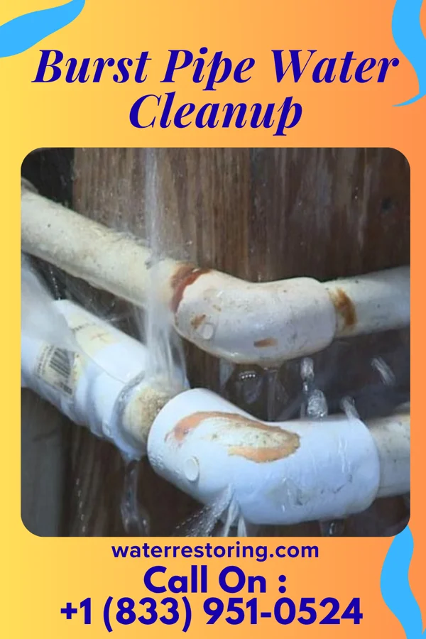 Burst Pipe Water Cleanup in Sleepy Hollow Lake, NY
