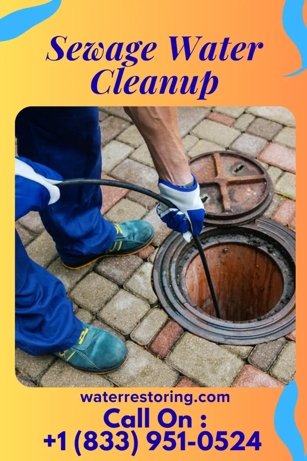 Sewage Water Cleanup in Sleepy Hollow Lake, NY