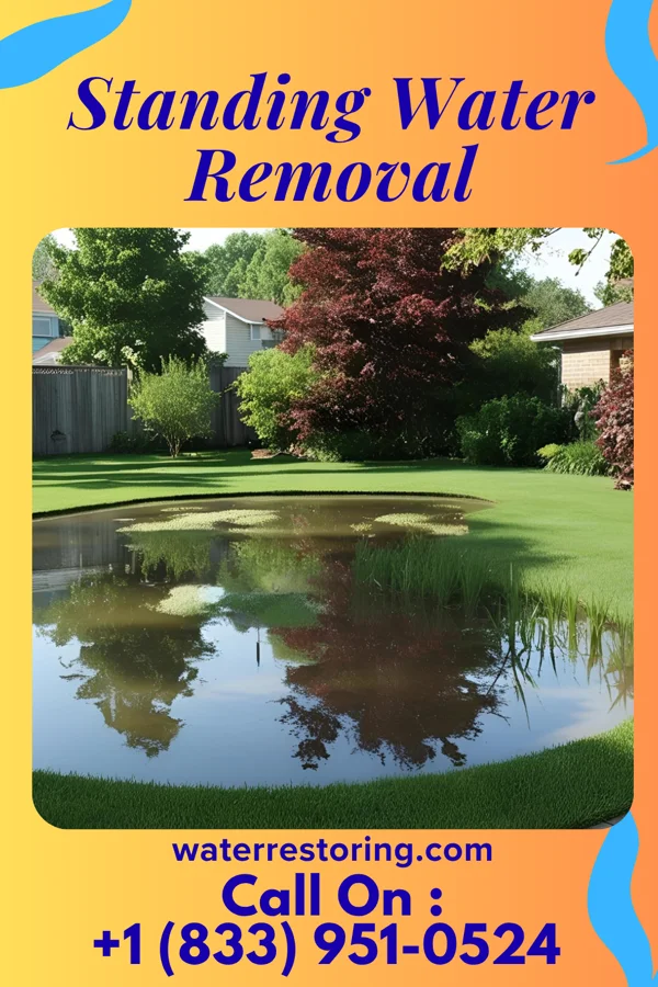 Standing Water Removal in Sleepy Hollow Lake, NY
